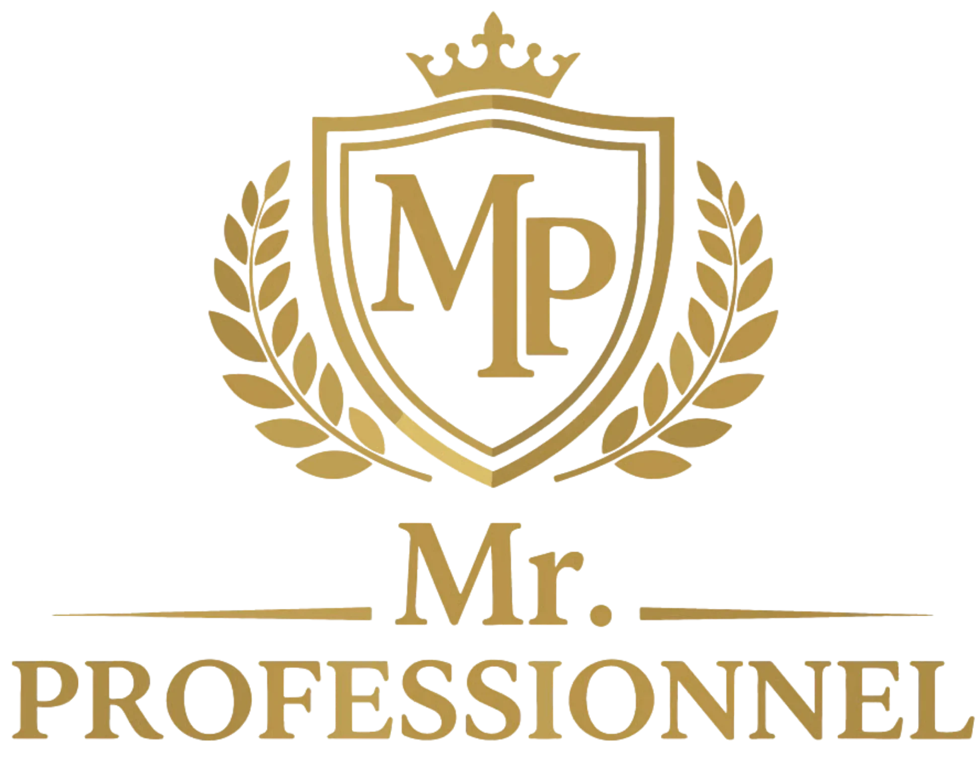 Mr. Professionnel Logo