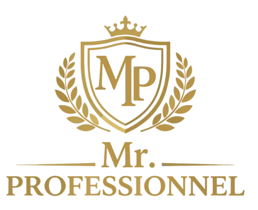 mrprofessionnel.com